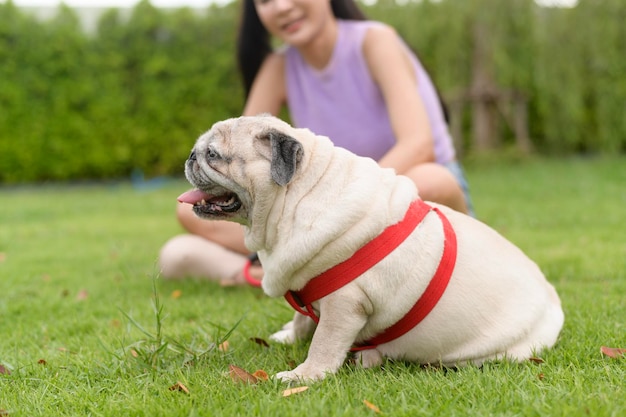 Foto mulher asiática feliz a brincar com um cãozinho no quintal.