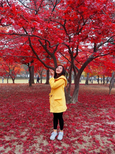 Mulher asiática feliz em uma jaqueta amarela em pé no parque de folhas de bordo vermelho no outono colorido da ilha de nami