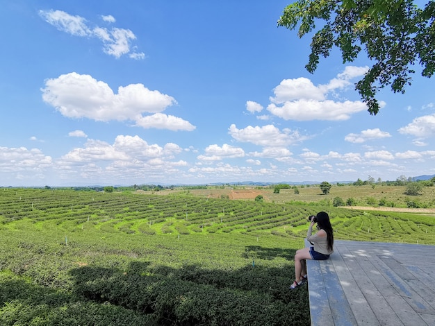 Mulher asiática observa a plantação de chá choui fong em chiangrai, tailândia.