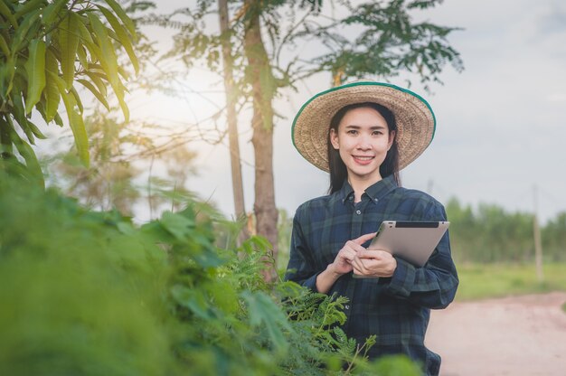 Mulher asiática usando um tablet em um campo agrícola