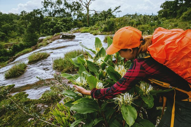 Mulher asiática viagens natureza. viajar relaxar. caminhada estudar o caminho natureza na floresta