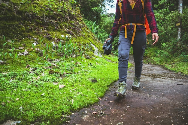 Mulher asiática viagens natureza. Viajar relaxar. Caminhada estudar o caminho Natureza na floresta