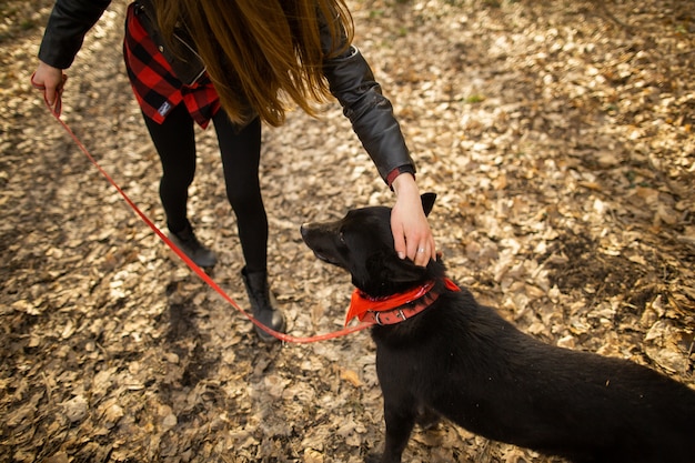 Mulher bonita acariciando seu cachorro ao ar livre