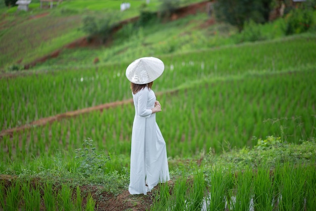 Mulher bonita asiática com campos de arroz verde em terraços em terraços de arroz Ban pa pong piang de Chiang Mai Tailândia