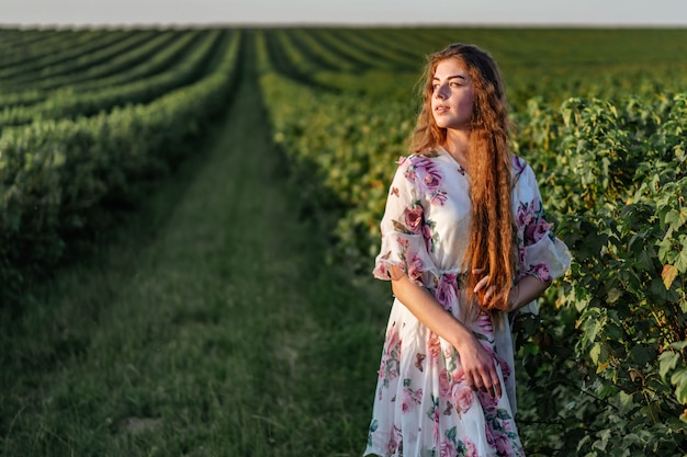 Mulher bonita com cabelo longo encaracolado e sardas no fundo do campo de groselha. Garota em um vestido leve caminha no dia ensolarado de verão