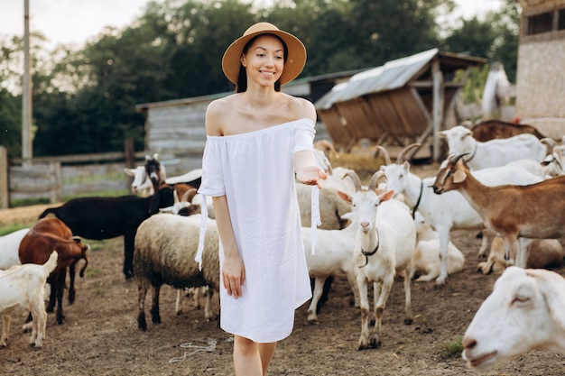 Mulher bonita com vestido branco e chapéu bege entre cabras em uma fazenda ecológica