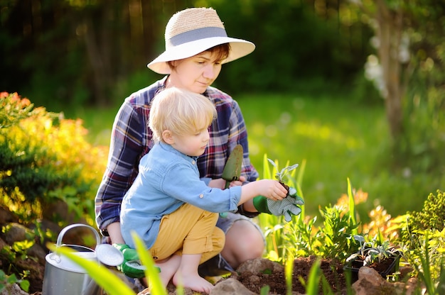 Mulher bonita e seu filho bonito, plantio de mudas na cama no jardim interno no dia de verão