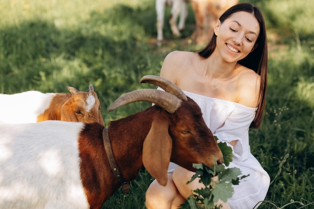 Mulher bonita em um vestido branco alimenta cabras e seus filhos verdes em uma fazenda ecológica.