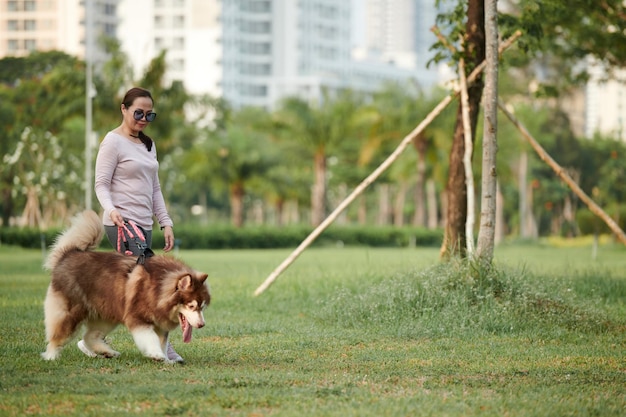 Mulher brincando com cachorro Samoieda