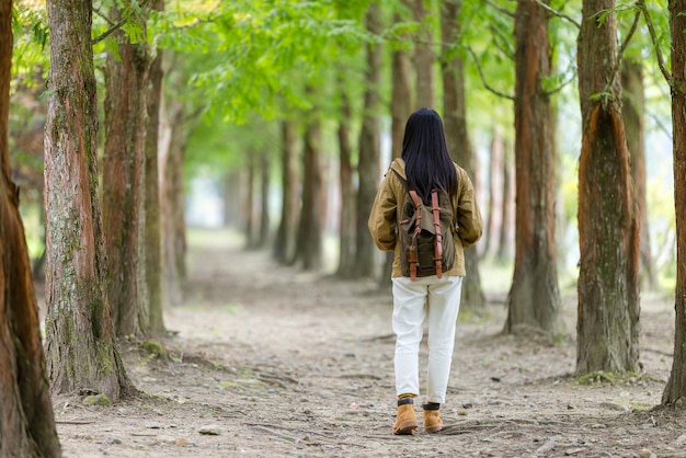 Mulher caminhando na floresta com uma fileira de árvores