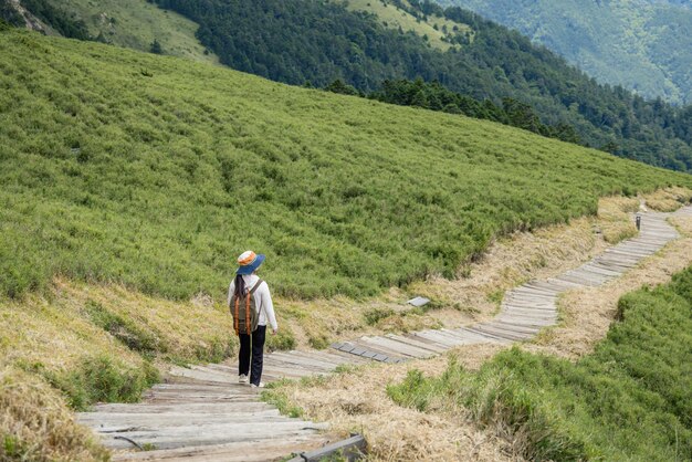 Foto mulher caminhante na montanha