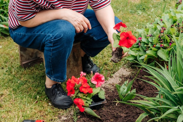 Mulher caucasiana em uma camiseta listrada e jeans sentada e segura mudas de flores nas mãos