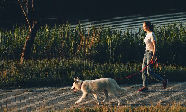 Mulher caucasiana encantadora vestida com uma camiseta e passeando com seu cachorro branco em um parque