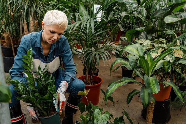 Mulher caucasiana feliz gosta de plantar espaço interno