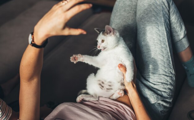 Mulher caucasiana gesticulando com a mão enquanto brinca com seu gato deitado de pernas