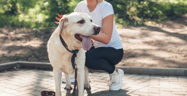 Mulher caucasiana passeando em um parque com seu cachorro durante um dia ensolarado de verão