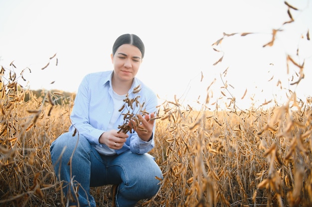 Mulher, caucasiana, trabalhadora agrícola inspecionando soja em uma noite de verão em algum lugar na Ucrânia