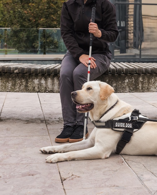 Mulher cega ou com deficiência visual descansando com seu cão guia no banco em um suporte de rua da cidade