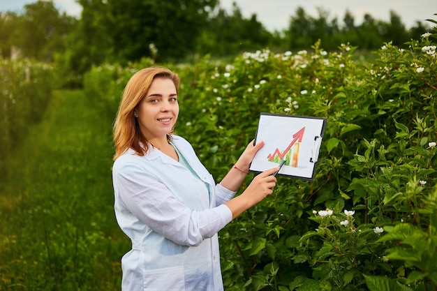 Mulher cientista que trabalha no jardim de frutas e mostra o nível de crescimento das culturas usando infográficos O inspetor biólogo examina arbustos de amora