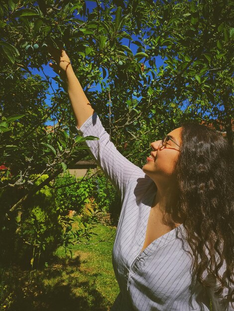 Foto mulher colhendo frutas que crescem nas árvores