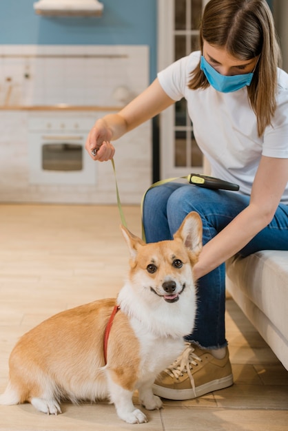 Mulher colocando trela e arreios no cão