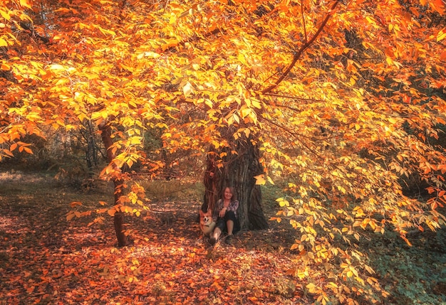 Foto mulher com amigo cachorro vermelho pembroke welsh corgi descansando sob uma árvore amarela no outono floresta colorida