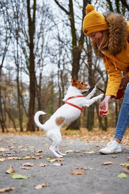 Mulher com cachorro anda no parque outono