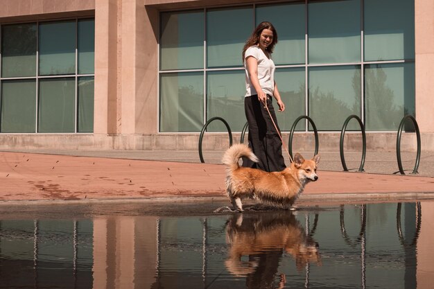 Mulher com cachorro Corgi andando na cidade depois da chuva no dia ensolarado de verão