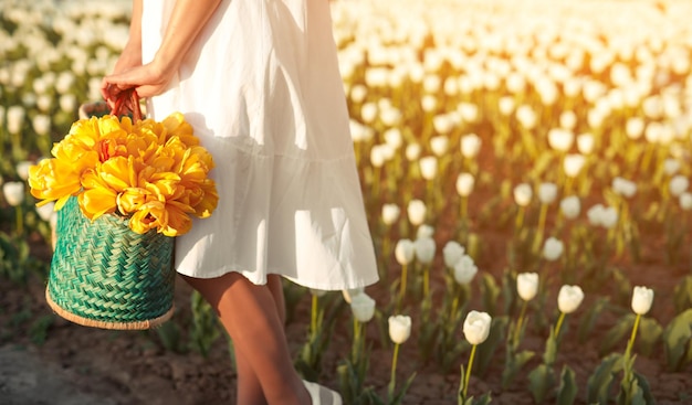 Mulher com cesta de tulipas em pé no campo florescendo