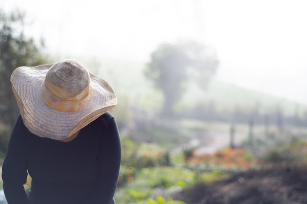 mulher com chapéu e óculos com fundo de natureza em dia ensolarado e nublado