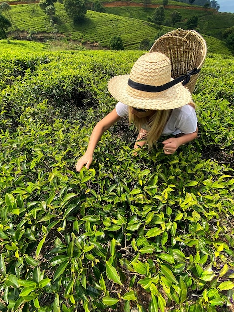 Foto mulher com chapéu na fazenda