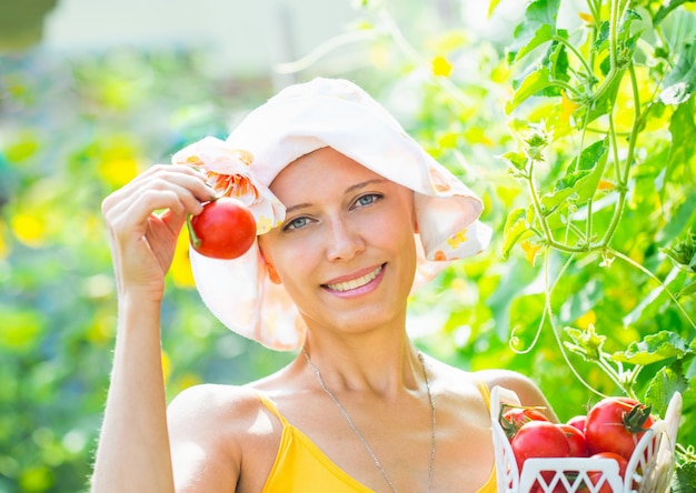 Foto mulher com colheita de tomate no jardim