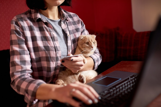 Mulher com estilo confortável está comprando com cartão de crédito em um laptop preto segurando um gato