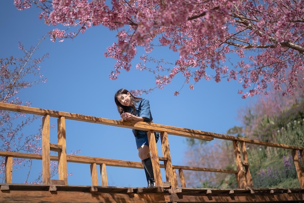 Mulher com flores de cerejeira ou flor de sakura florescendo no parque