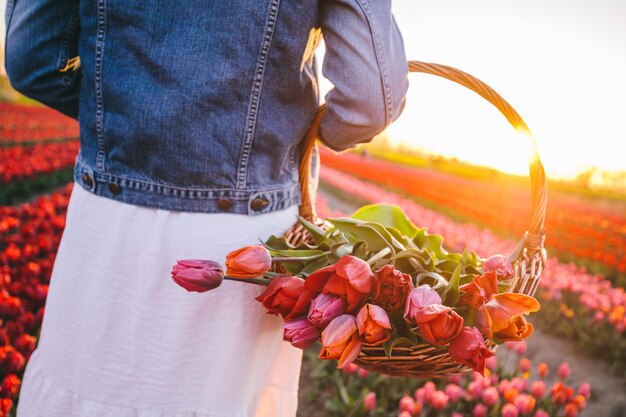 Foto mulher com flores na cesta no campo de tulipas na primavera luz do sol