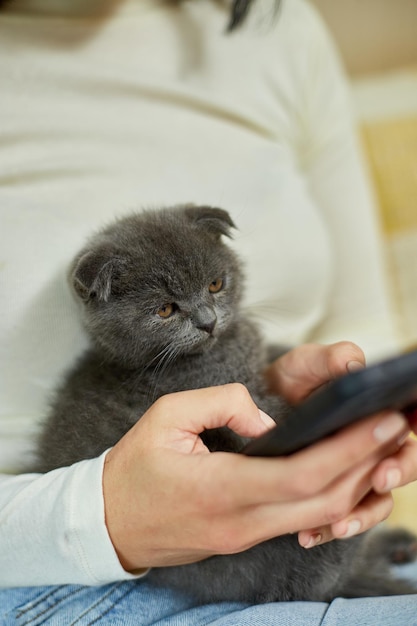 Mulher com gatinho escocês no sofá com telefone conversando usando smartphone