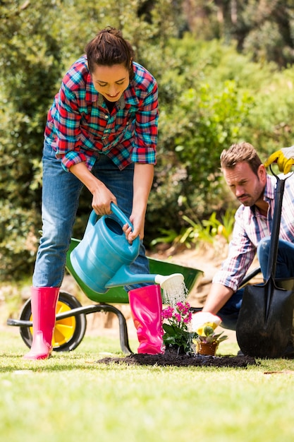 Mulher com homem molhando a planta no gramado