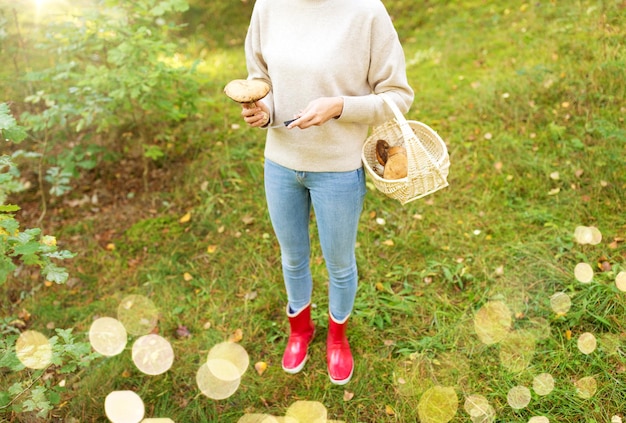 Foto mulher com uma cesta colhendo cogumelos na floresta