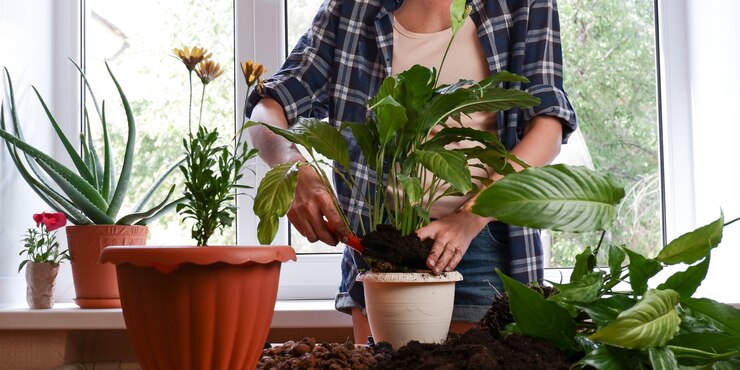 Mulher conceito de jardinagem doméstica na sala