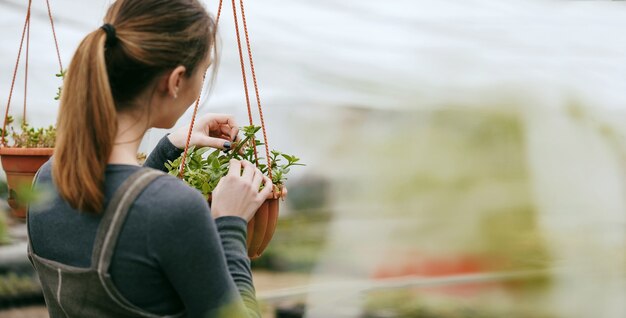 Mulher cuidando de plantas