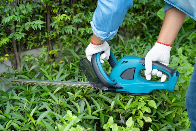 Mulher cuidando e cultivando plantas hobby plantando poda ornamental de jardim doméstico