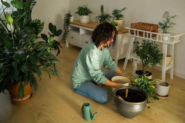 Mulher cultiva vasos de plantas em casa, rega e cuida de flores, jardinagem e conceito de cuidado de plantas domésticas