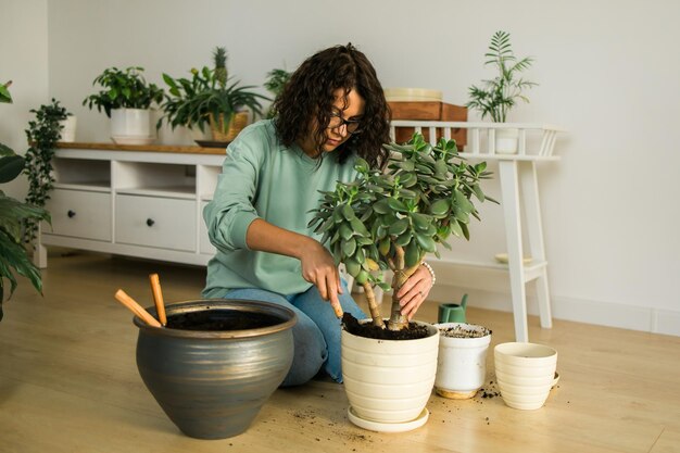 Mulher cultiva vasos de plantas em casa, rega e cuida de flores, jardinagem e cuidados com plantas domésticas