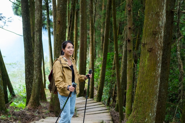 Foto mulher de caminhada vai de caminhada e caminha ao longo da trilha de caminhada na floresta