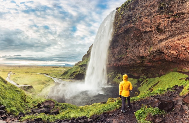 Mulher de casaco amarelo em pé e olhando para a cachoeira Seljalandsfoss fluindo do penhasco à luz do dia no verão no sul da Islândia