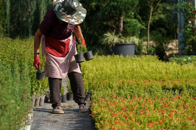 Mulher de chapéu protetor solar caminha no corredor entre plantas decorativas no próprio jardim no verão