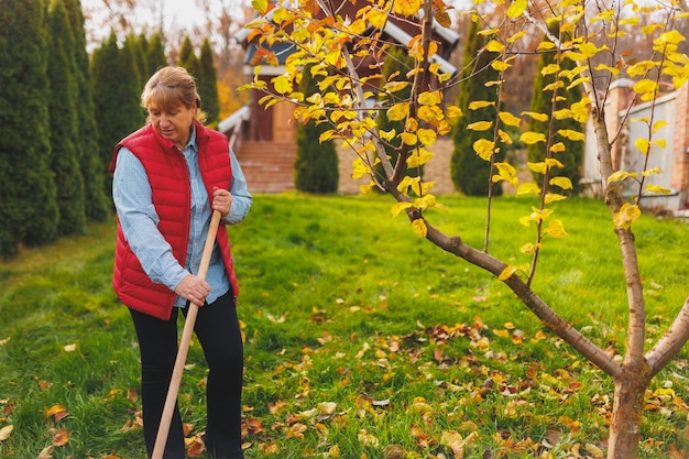 Mulher de colete vermelho segurando ancinho Jardinagem durante o outono Limpando o gramado das folhas Ajuntando folhas caídas no jardim