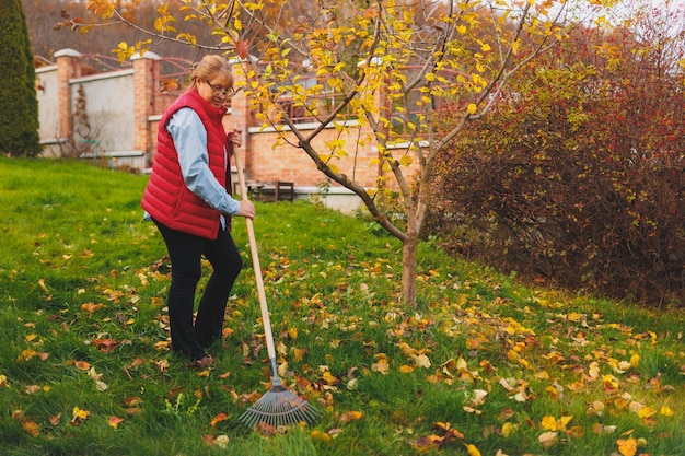 Mulher de colete vermelho segurando ancinho Jardinagem durante o outono Limpando o gramado das folhas Ajuntando folhas caídas no jardim