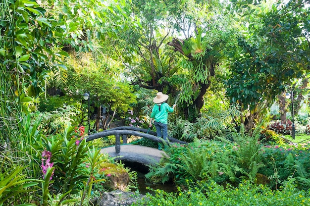 Mulher de jardineiro segura a mangueira de aspersão para plantas que regam o jardim de flores ao ar livre