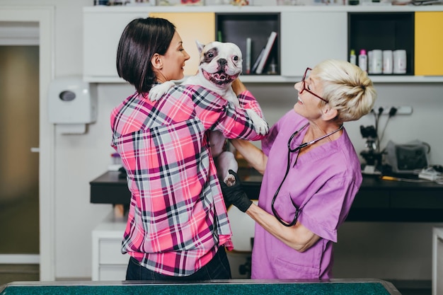 Mulher de meia idade com seu buldogue francês no veterinário.